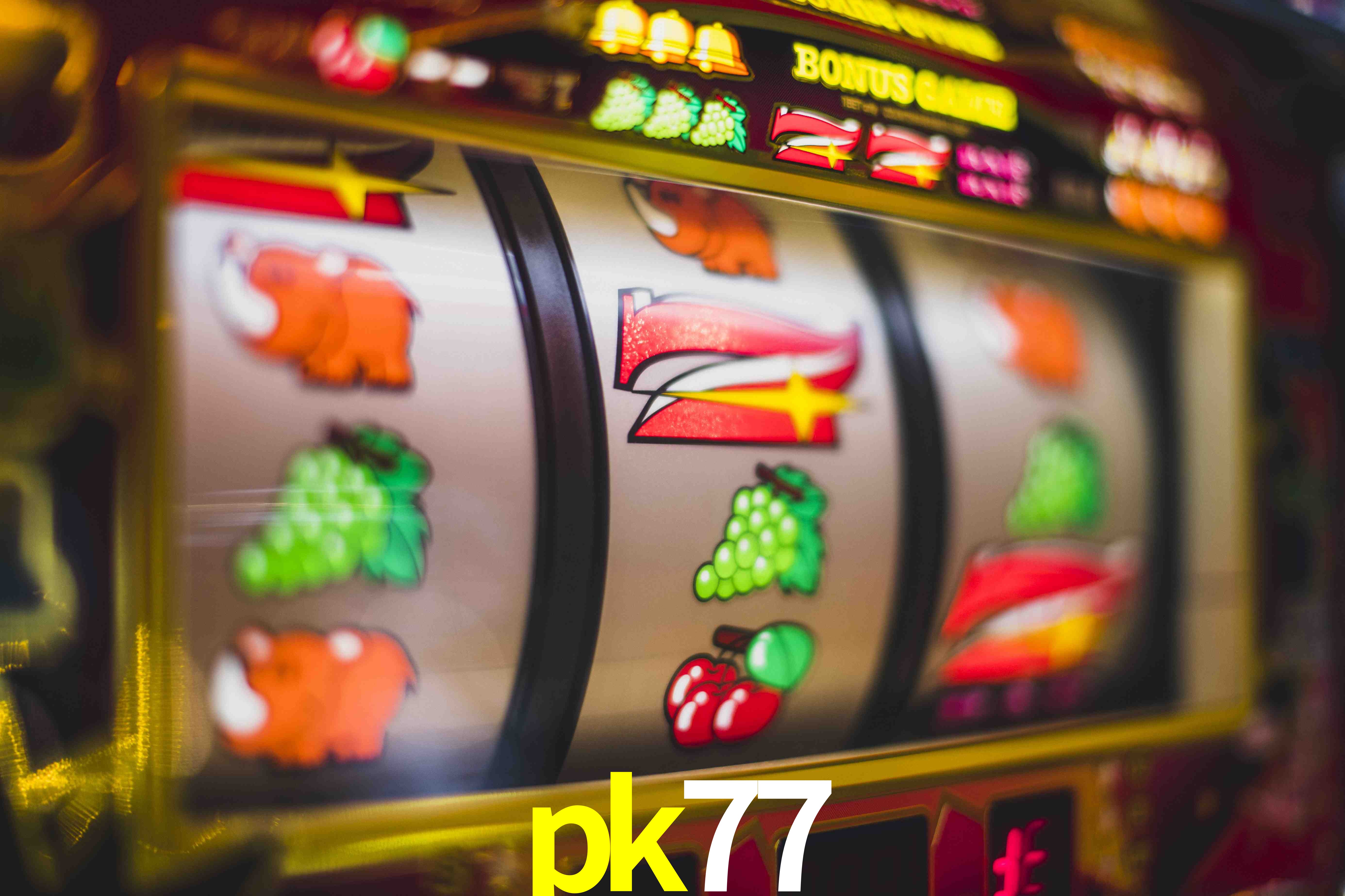 VIP Casino pk77